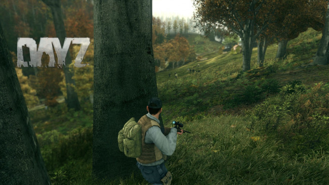 Обои картинки фото arma 2,  dayz mod, видео игры, dayz standalone, игра