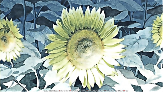 Обои картинки фото календари, аниме, цветы, 2019, calendar, желтый, подсолнух