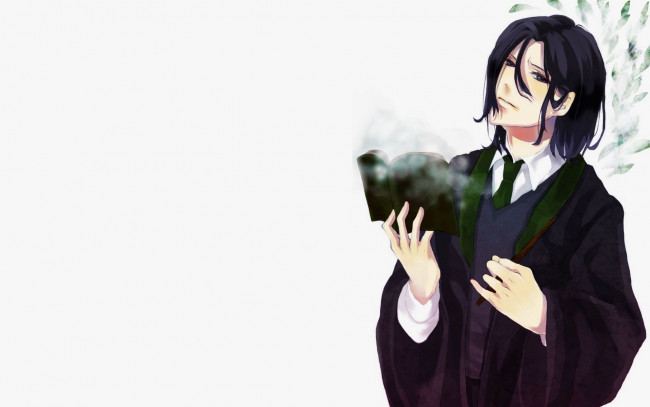 Обои картинки фото рисованное, кино,  мультфильмы, северус, снейп, книга, мантия