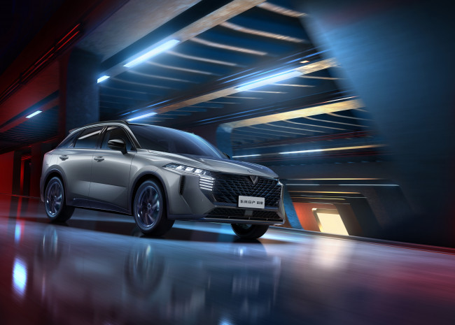 Обои картинки фото автомобили, venucia