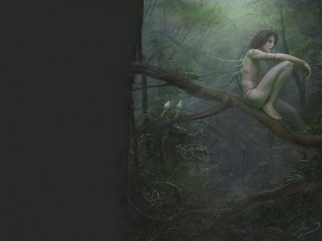 Обои картинки фото фэнтези, феи