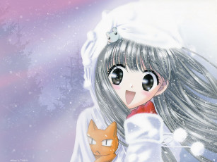 Картинка аниме fruits basket