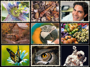 Картинка разное другое