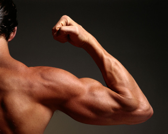 Обои картинки фото разное, руки