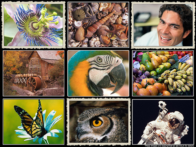 Обои картинки фото разное, другое