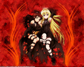 Картинка аниме to love ru