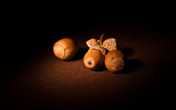 Картинка еда орехи каштаны