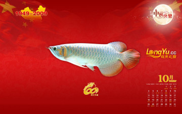 обоя календари, животные