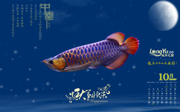 обоя календари, животные