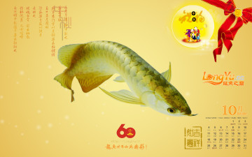 обоя календари, животные