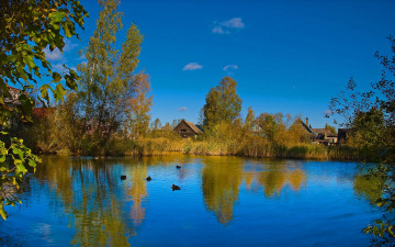 Картинка природа реки озера