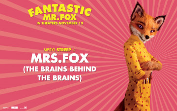 обоя the, fantastic, mr, fox, мультфильмы