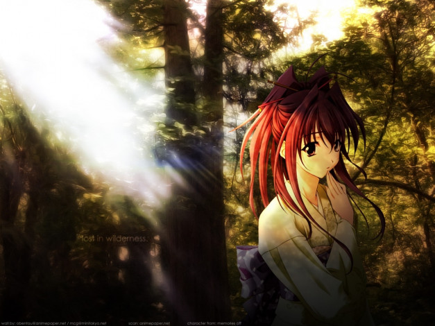 Обои картинки фото аниме, *unknown, другое