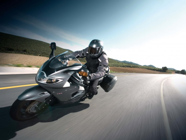 Обои картинки фото мотоциклы, triumph