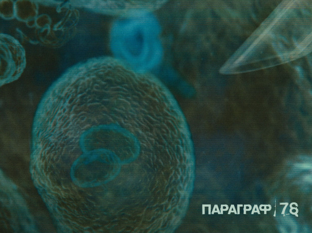 Обои картинки фото параграф78, кино, фильмы, параграф, 78