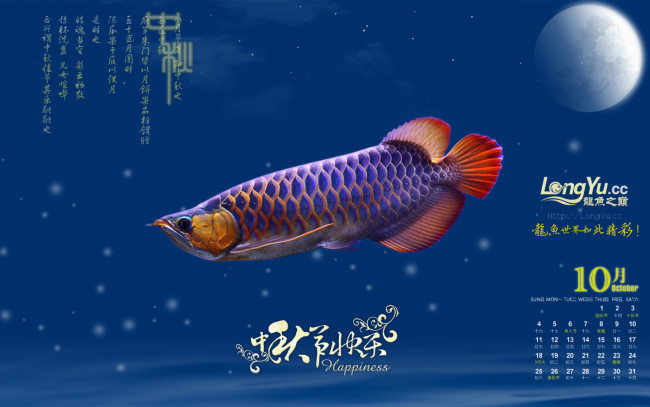 Обои картинки фото календари, животные