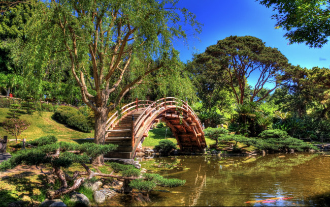 Обои картинки фото природа, парк