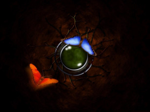 Картинка 3д графика animals животные тёмный бабочки