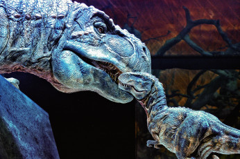 Картинка 3д графика animals животные tirex динозавры