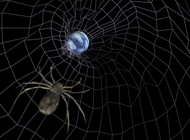 Обои картинки фото 3д, графика, animals, животные, тёмный, паутина