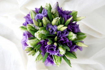 Картинка цветы букеты композиции тюльпаны эустома