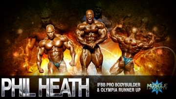 Картинка спорт body building мышцы