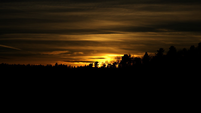 Обои картинки фото природа, восходы, закаты, облака, деревья