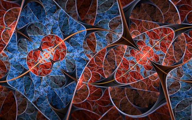 Обои картинки фото 3д графика, фракталы , fractal, цвета, фон, узор