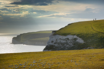 Картинка природа побережье скалы