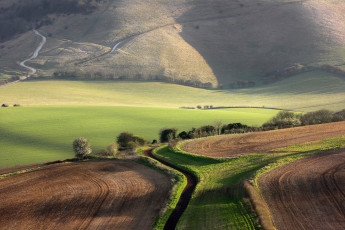 Картинка природа поля кустарники деревья весна