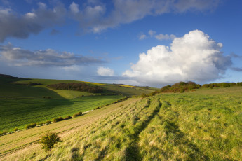 Картинка природа поля луг облака небо