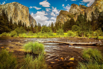 Картинка природа реки озера река лес горы