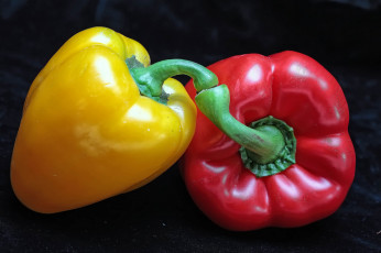 Картинка еда перец перчики