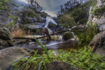 Картинка природа водопады водопад река лес