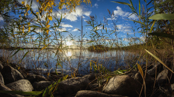 Картинка природа восходы закаты река лес