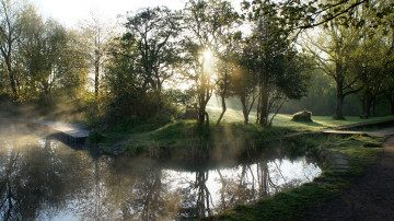 Картинка природа реки озера река лес