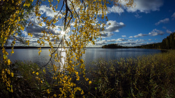 Картинка природа реки озера река лес