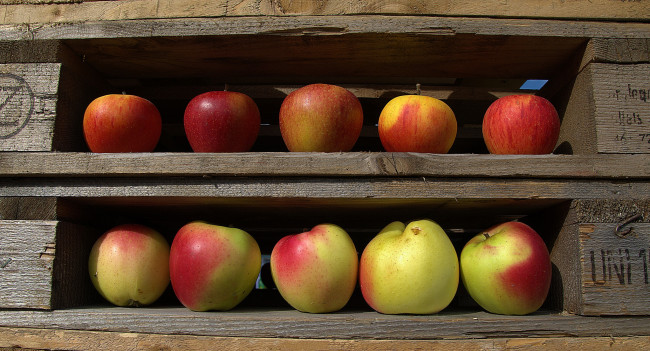 Обои картинки фото еда, Яблоки, яблочки