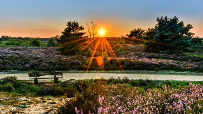 Обои картинки фото природа, восходы, закаты, рассвет