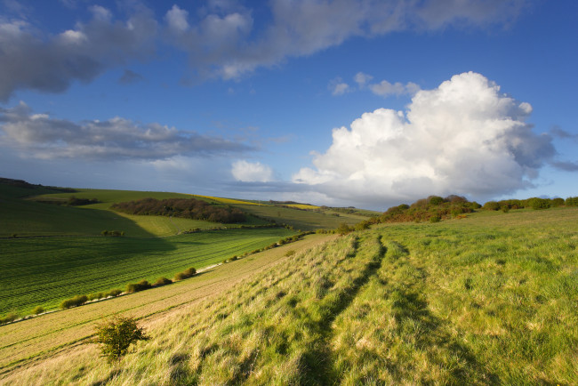 Обои картинки фото природа, поля, луг, облака, небо