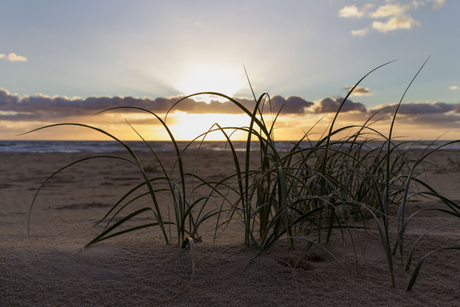 Обои картинки фото природа, восходы, закаты, закат