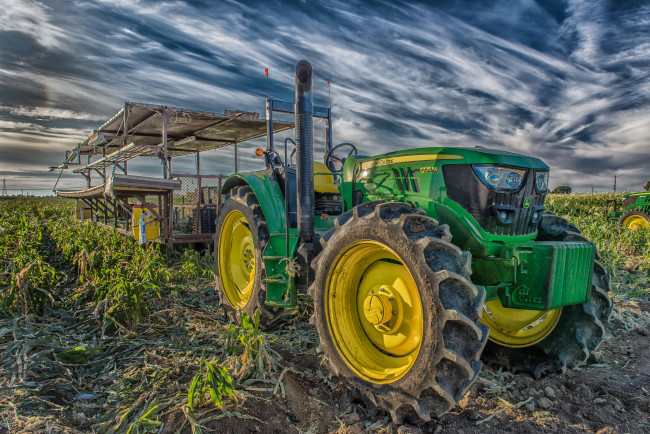 Обои картинки фото техника, тракторы, поле