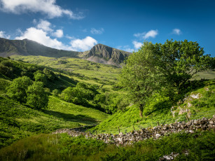 Картинка природа пейзажи простор