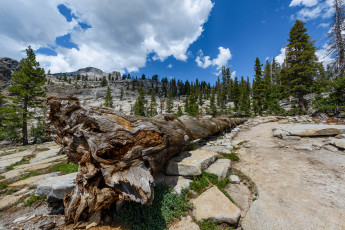 Картинка природа пейзажи простор