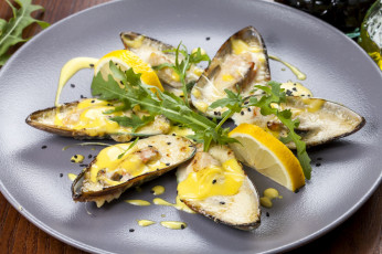 Картинка еда рыба +морепродукты +суши +роллы устрицы раковины зелень лимон