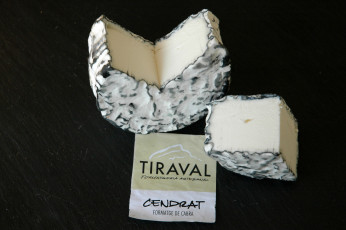 Картинка еда сырные+изделия сыр