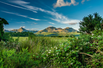 Картинка природа пейзажи простор