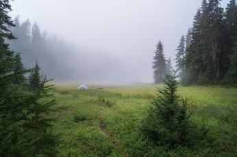 Картинка природа пейзажи простор