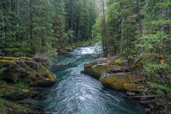 Картинка природа реки озера простор