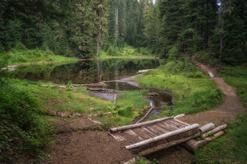 Картинка природа реки озера простор